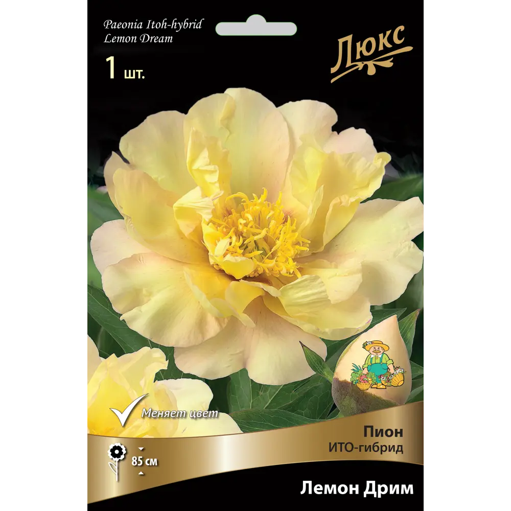 Пион ито-гибрид «Лемон Дрим» разбор 2-3 82661886 STLM-2122411 Santreyd 