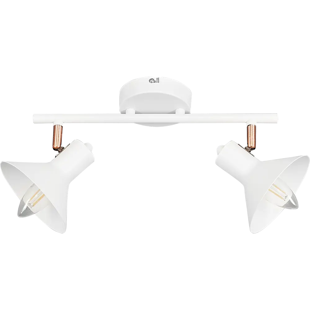 Спот поворотный Crater L1166-2, 2 лампы, 6 м², цвет белый LAMPLANDIA STLM-2144210