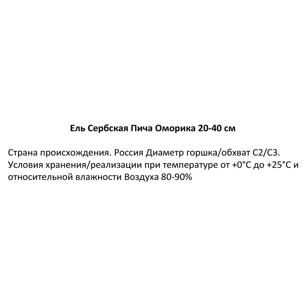 Ель сербская (Пича Оморика) h30-40 см 85320195 STLM-2087339 Santreyd  - Вид №1
