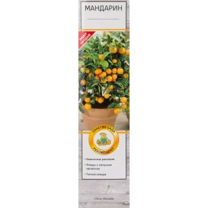 Мандарин микс в тубе Поиск Инвест 82150815 STLM-2210973