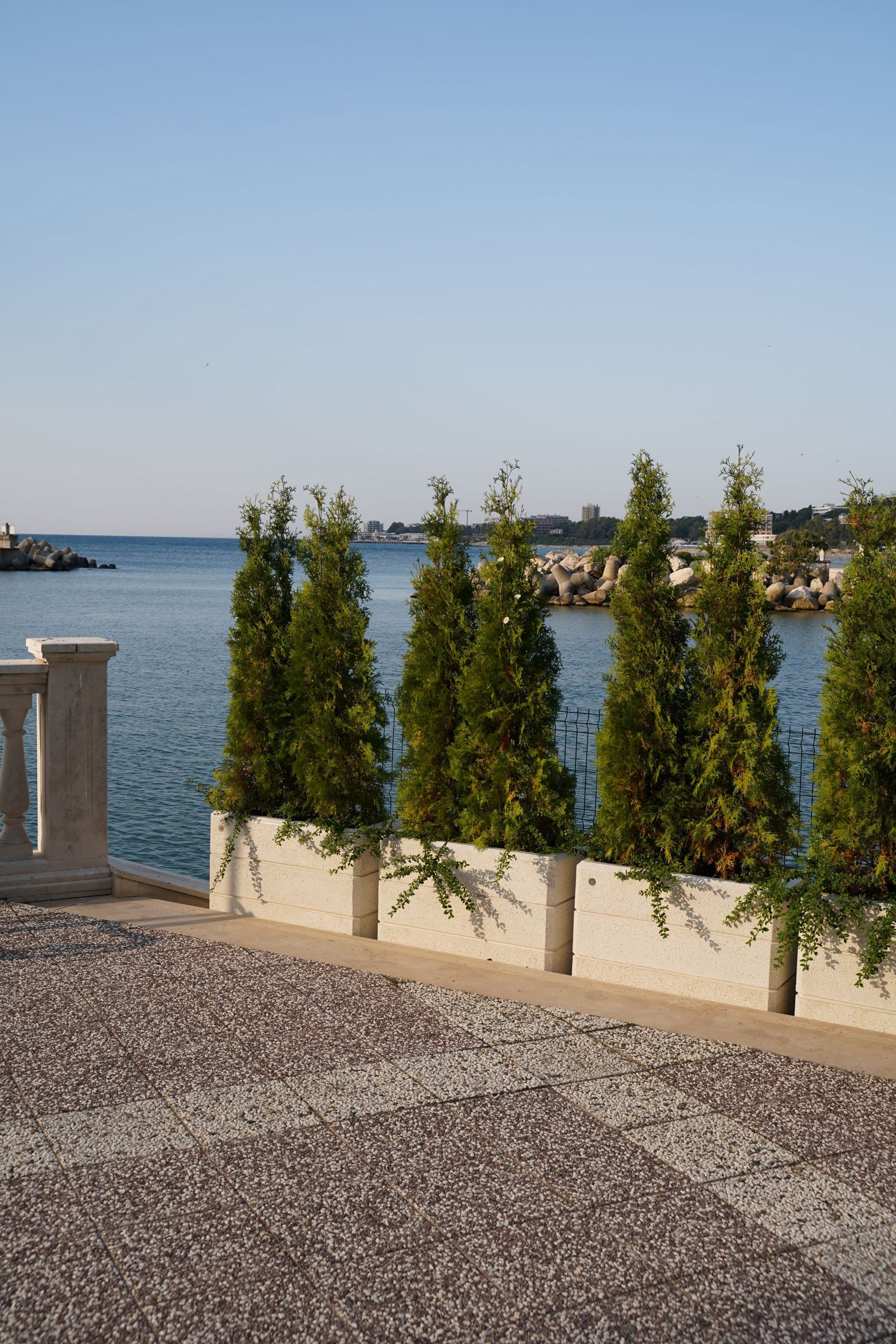 Бетонная плантатор ENCHO ENCHEV - ETE 78/79 ARCH-00121964 - Вид №2