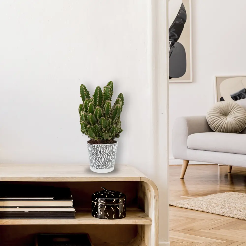 Горшок цветочный Ingreen Easy Grow ø12 h11 см v0.75 л пластик белый/чёрный Фиджи декор STLM-2181293 - Вид №2