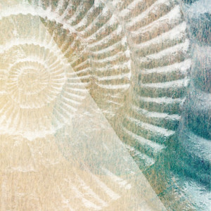 2064/CX38 Картина 2064 Adriani e Rossi