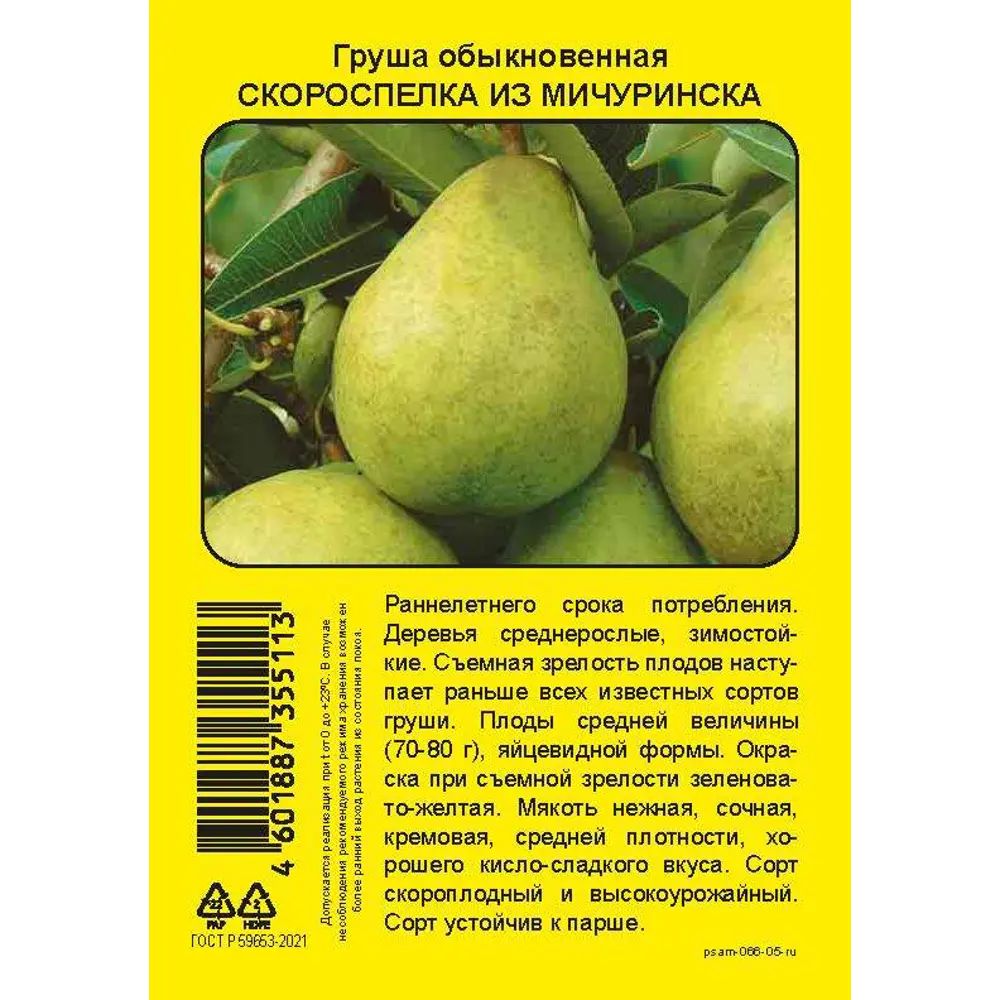 Груша Скороспелка из Мичуринска пакет h90 см 86544116 STLM-2011348 Santreyd 