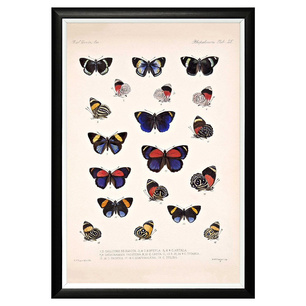 782752297_1818 Арт-постер «Тропический рай», версия 47 Object Desire 