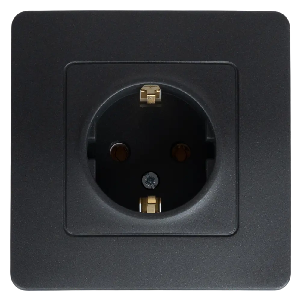 Розетка встраиваемая Systeme Electric Blanca с заземлением цвет антрацит STLM-2061628
