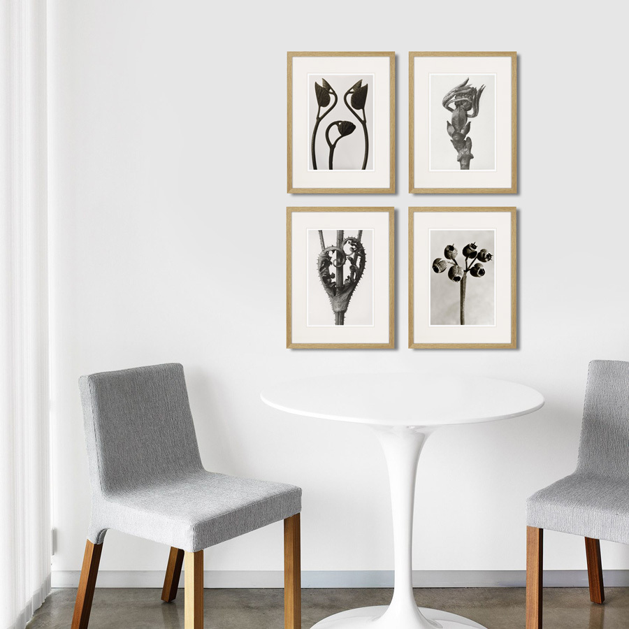 Литография на тонированной бумаге 42х32 см Botanical philosophy of forms №2, 1912г. КАРТИНЫ В КВАРТИРУ  264876 Бежевый;зеленый;коричневый;разноцветный  - Вид №2