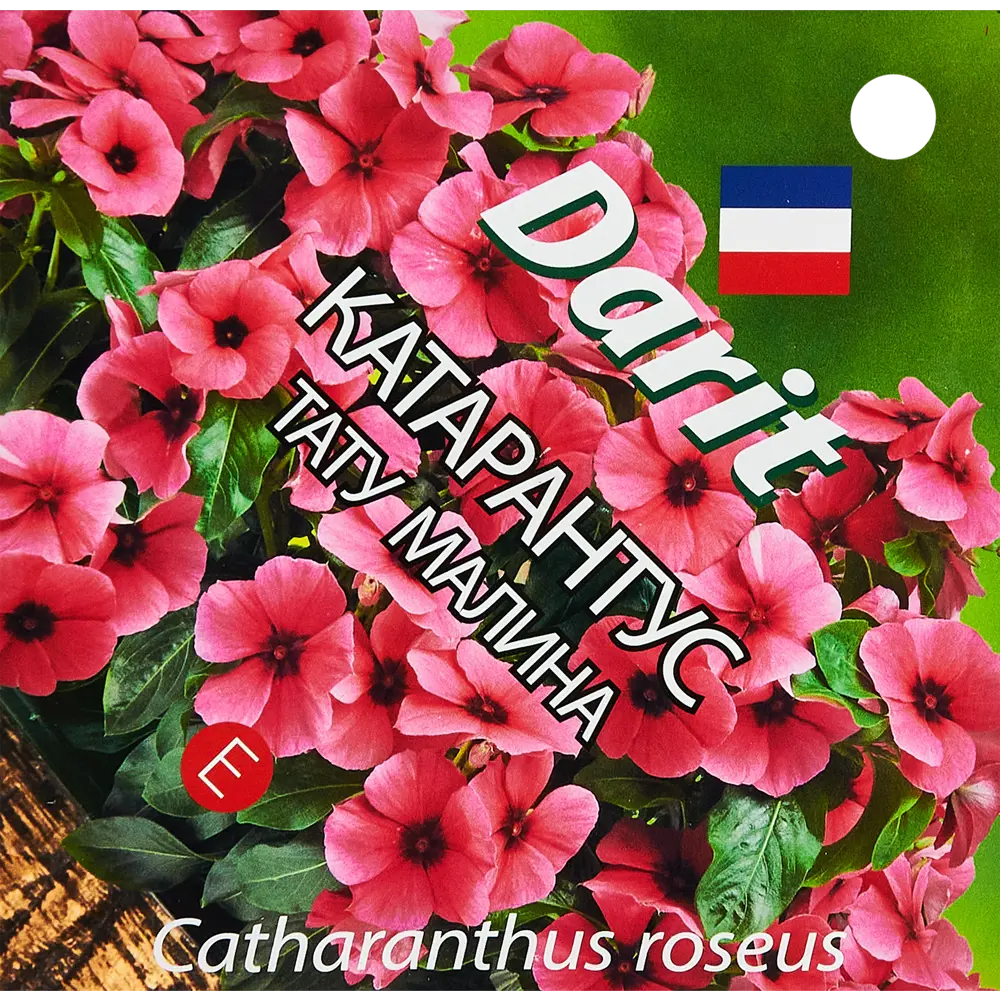 89347612 Семена цветов Дарит катарантус Тату Малина STLM-0964021