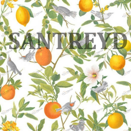 105641 Обои Graham&Brown Curiosity