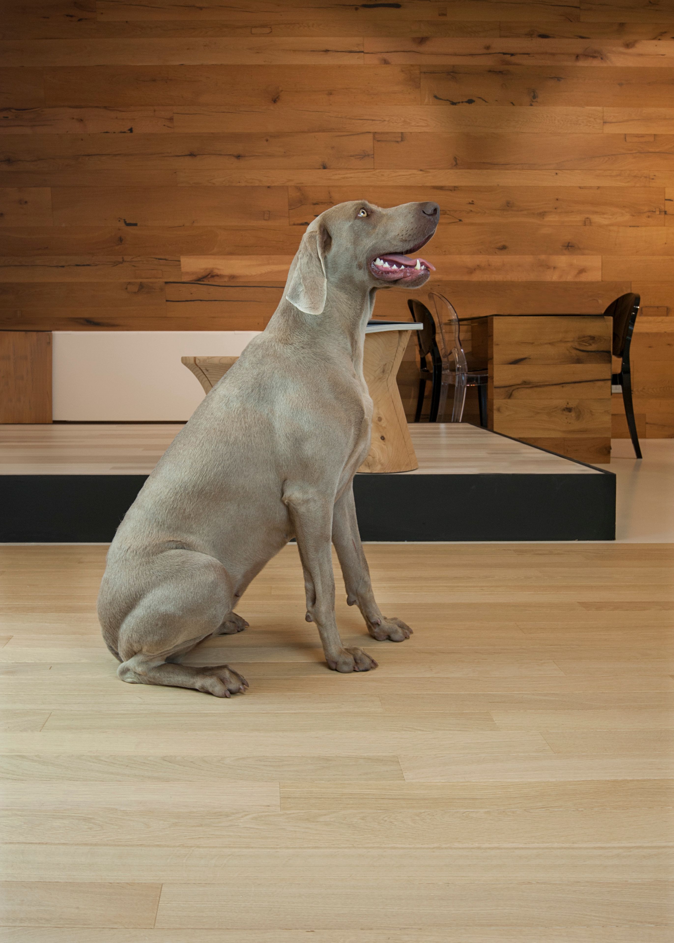 Готовый паркет Garbelotto I Gessi® ARCH-00090094 - Вид №12