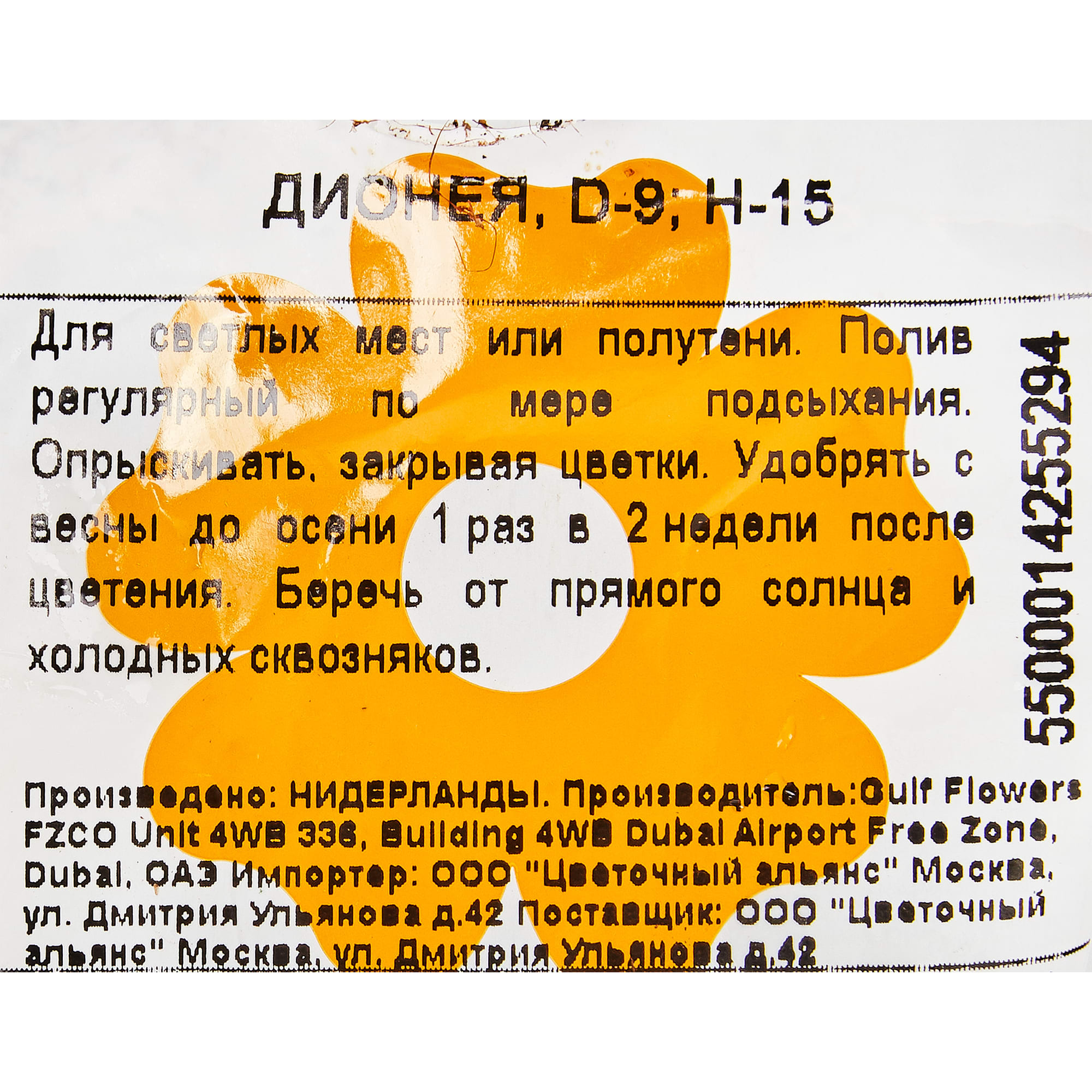 82850368 Дионея 9x15 см Santreyd  - Вид №2