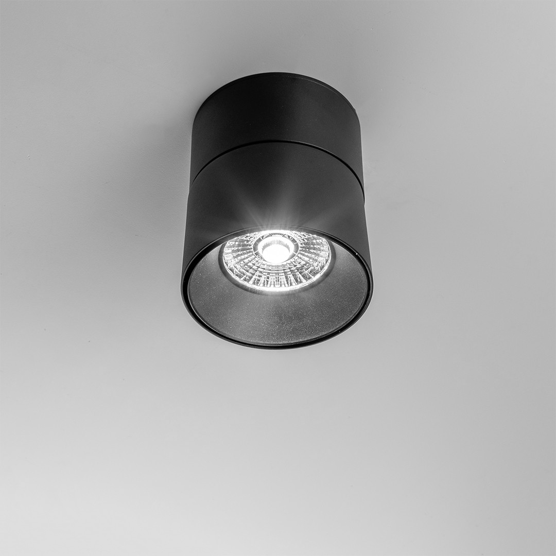 Frezia Light 1015 черный светильник настенно-потолочный 119263 - Вид №1