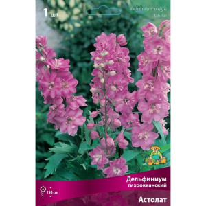 Дельфиниум тихоокеанский Астолат луковица I