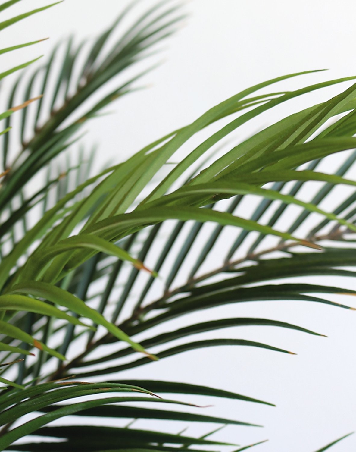 5543 883 a3 Искусственная пальма в горшке, 90 см, зеленая H-andreas  - Вид №4