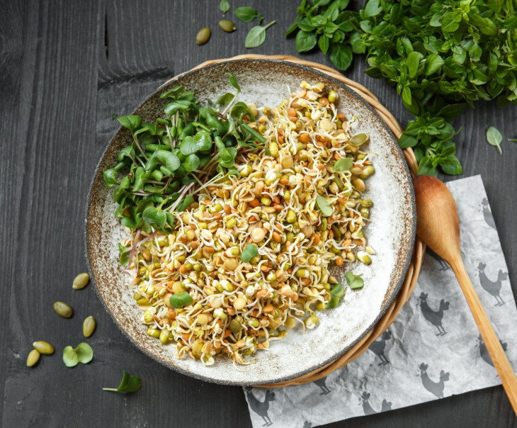 9718 Микс из проростков "Богатырь" Вкусляндия  - Вид №1