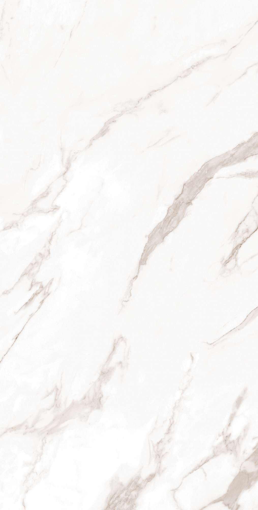 CALACATTA BIANCO ARCADIA CERAMICA FP1019-A - Вид №5