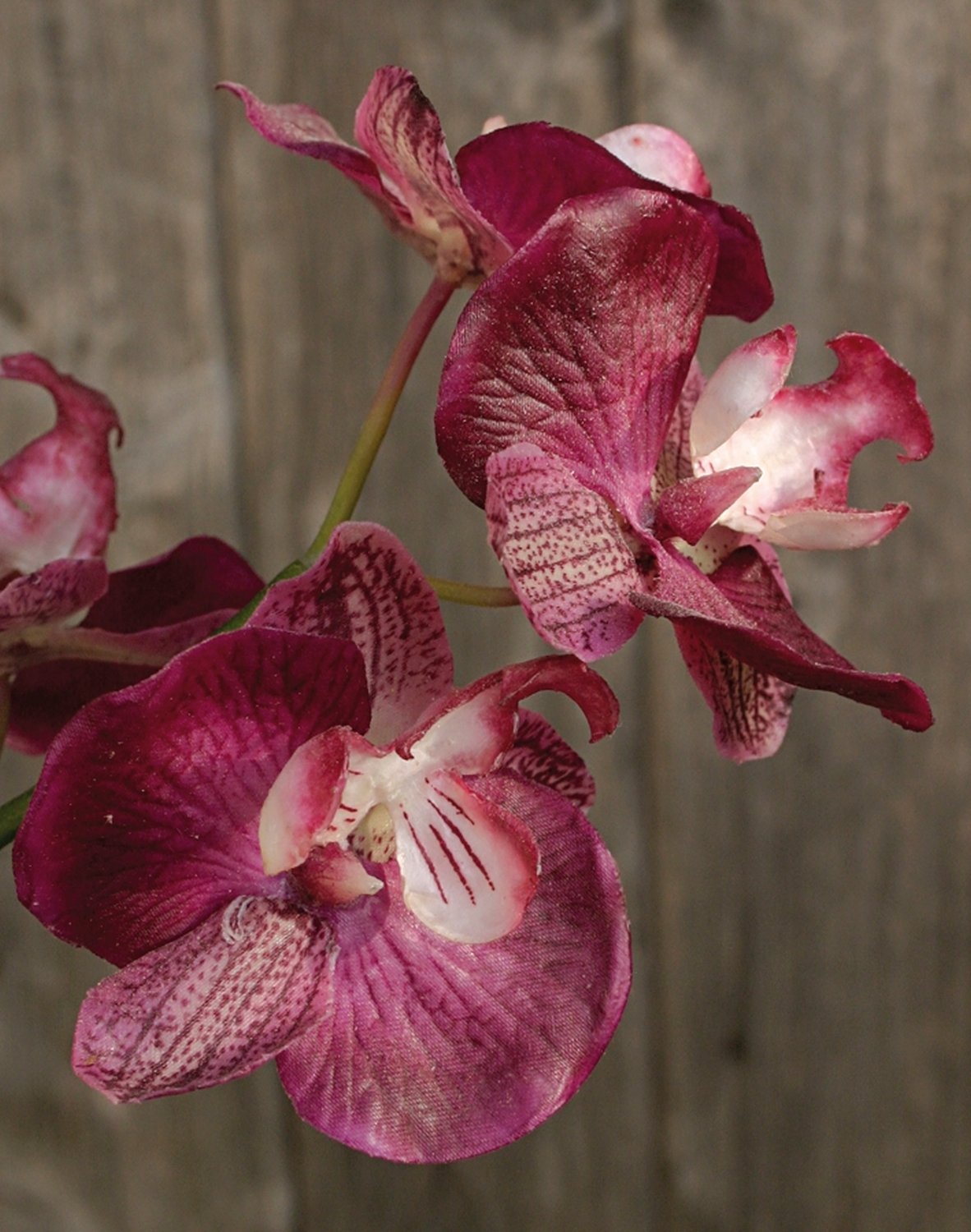 2579 515 a2 Пластиковая орхидея Phalaenopsis, ваза с водой, 80 см, real touch, розовая H-andreas  - Вид №4