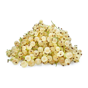 Белая смородина