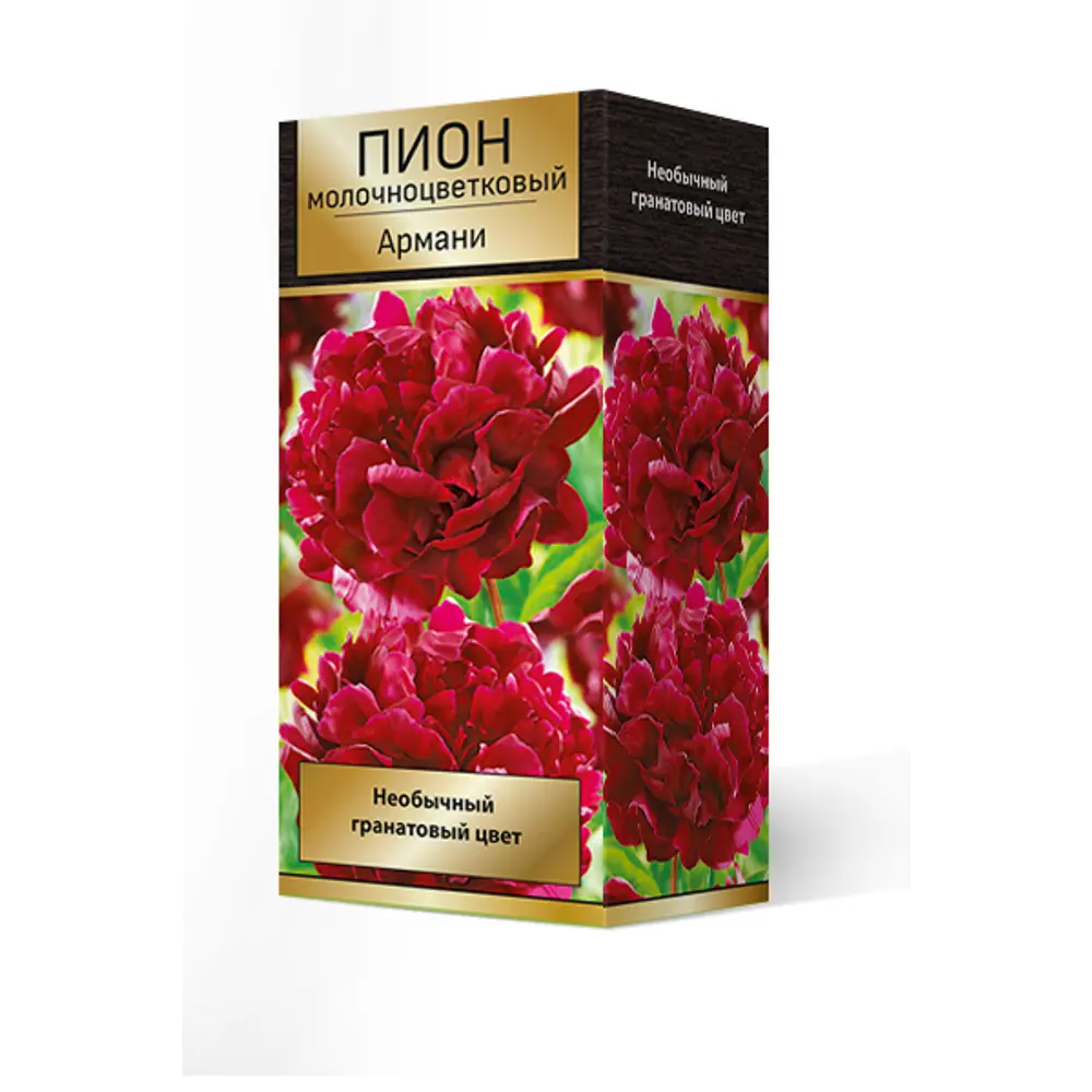 Пион молочноцветковый травянистый «Армани» разбор 2-3 82661846 STLM-2064693 Santreyd 