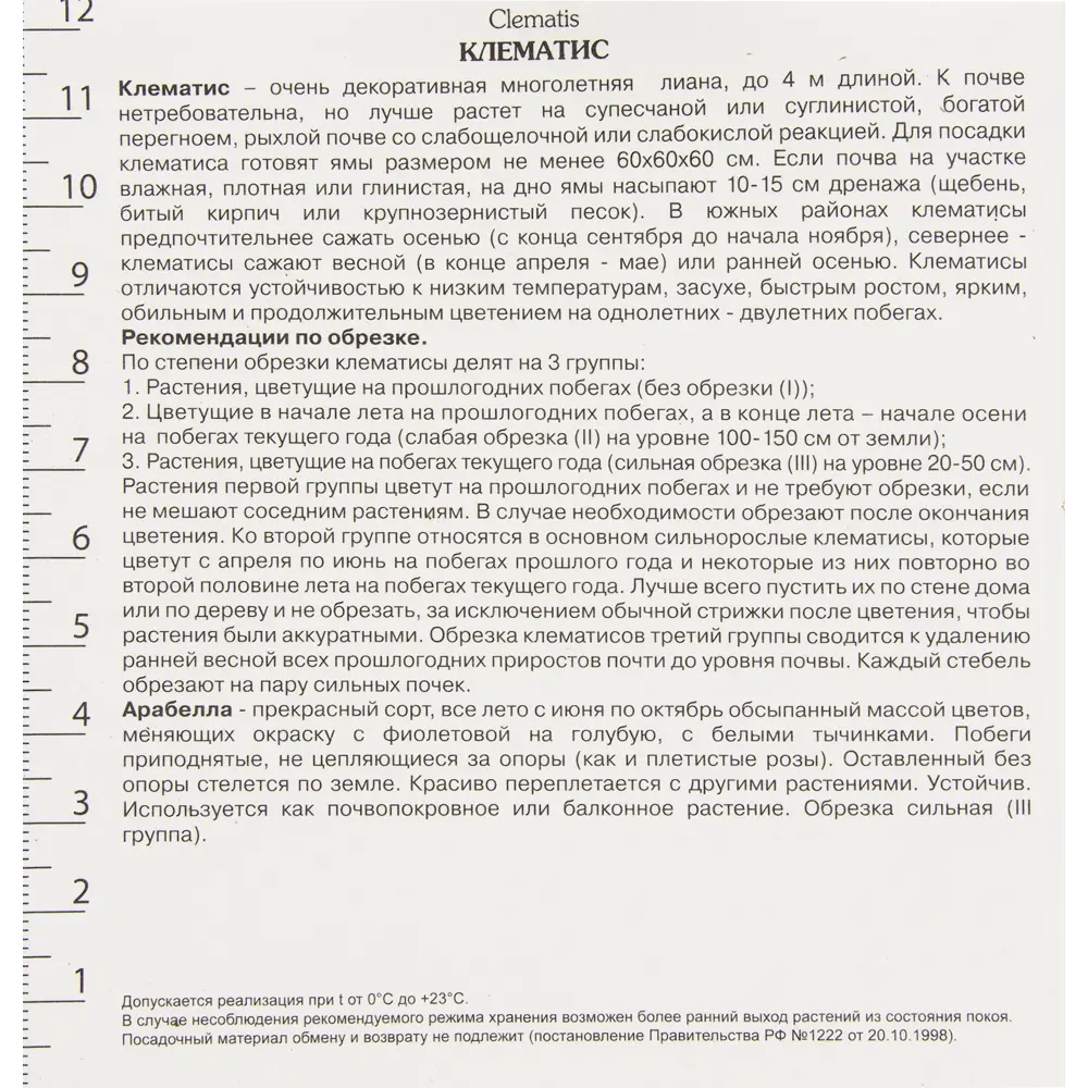 Клематис ботанический Арабелла в капере 82527478 STLM-2147473 Santreyd  - Вид №2