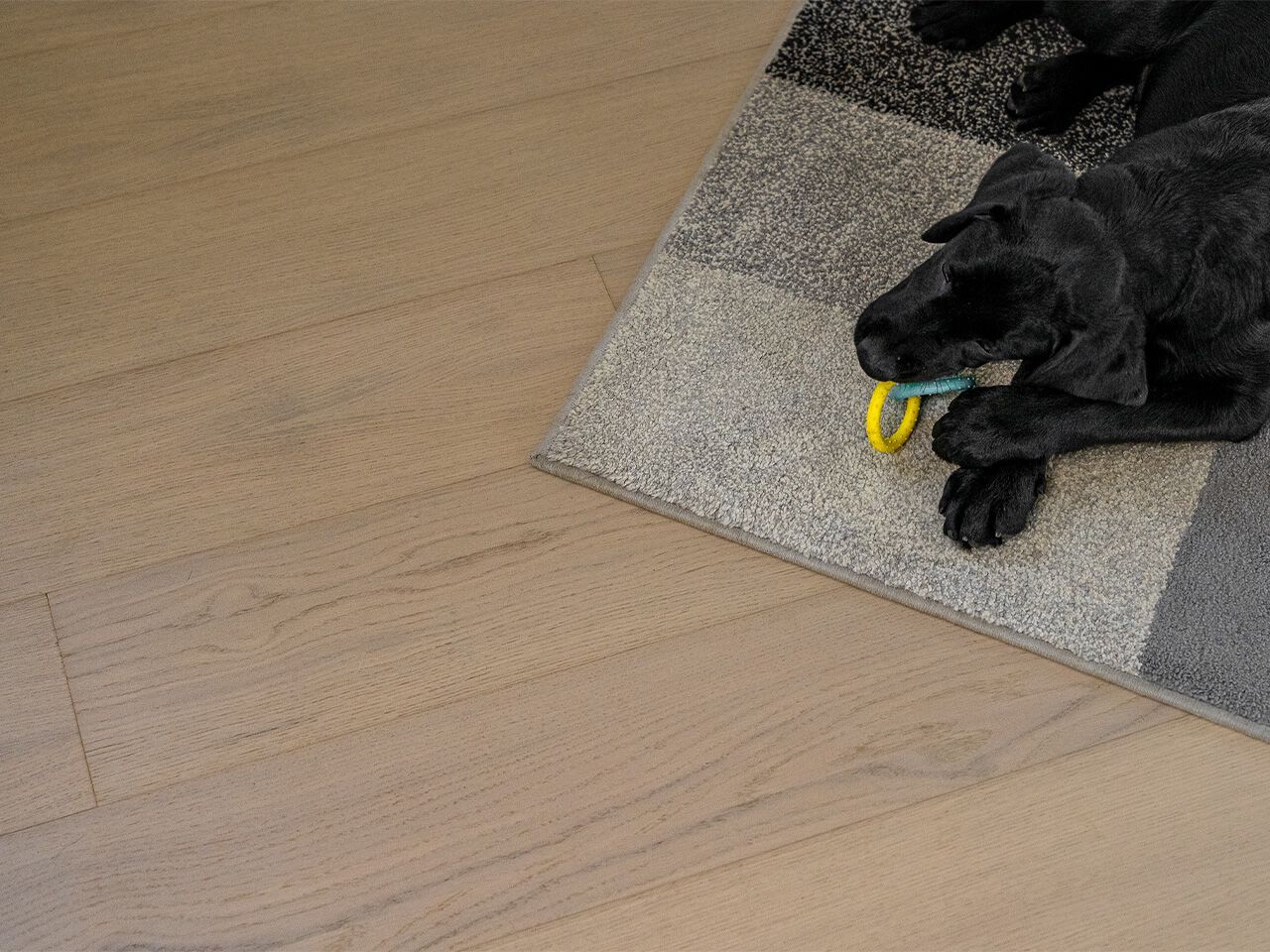 Деревянный пол Florian Family ARCH-00036624 - Вид №1