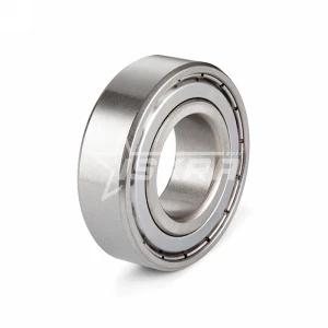 IS2424 Нержавеющий подшипник (магнитный) 6306 BSS ZZ ISKRA