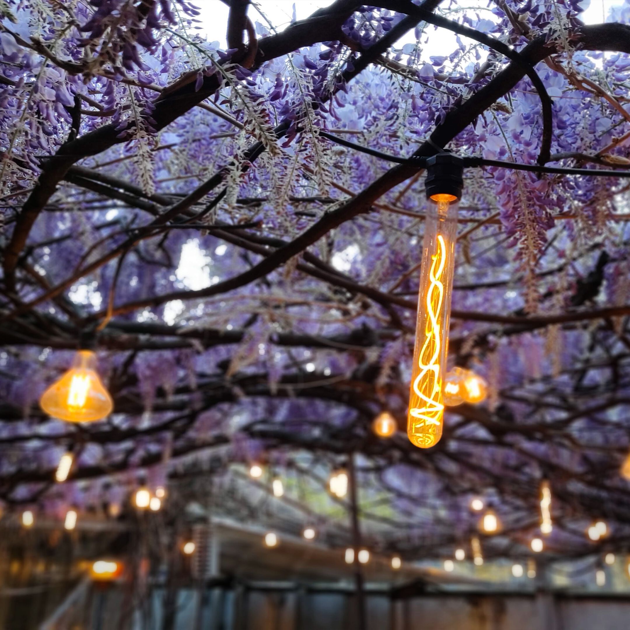 Открытый подвесной светильник Amarcords GHIRLANDE ARCH-00098187 - Вид №7