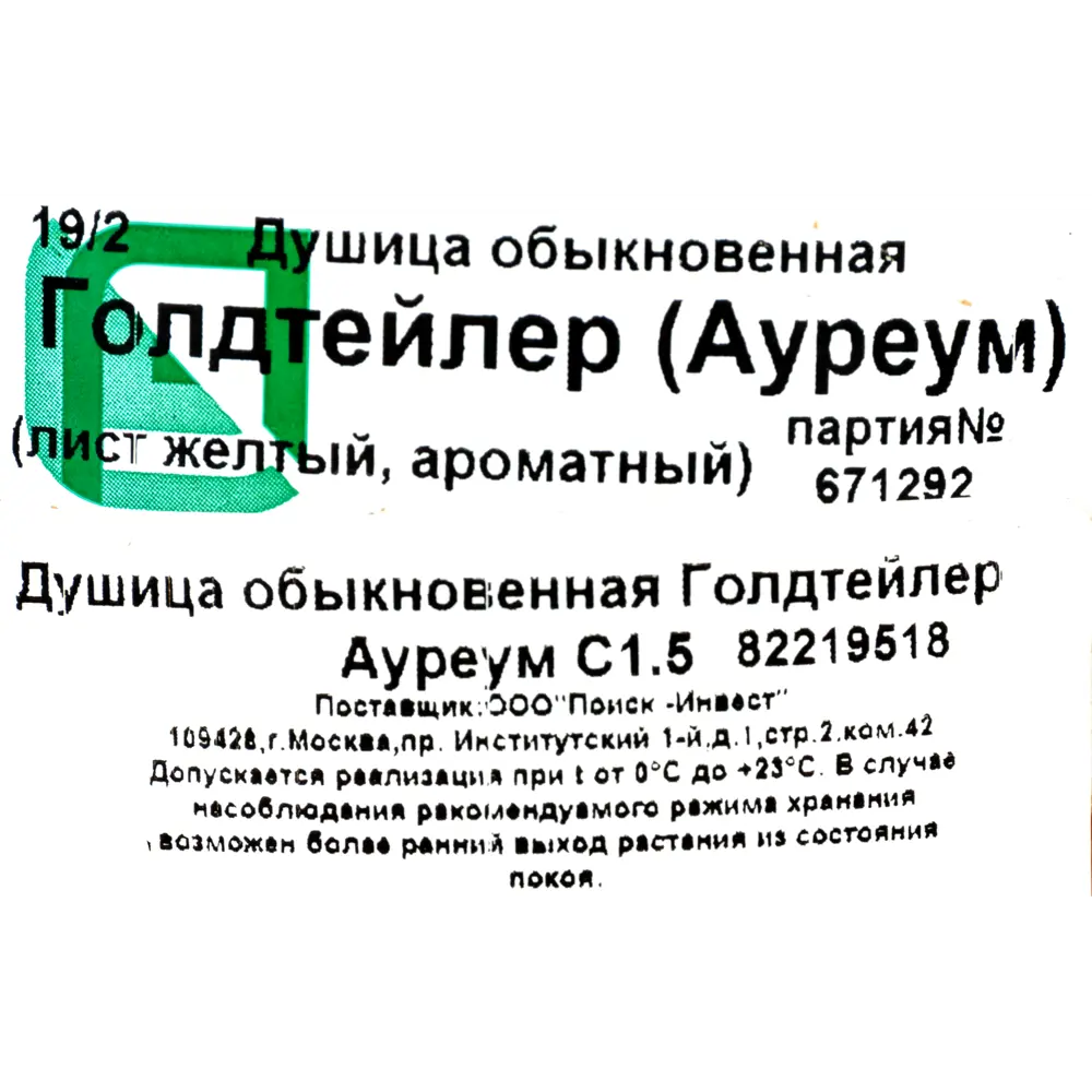 Душица обыкновенная «Голдтейлер Ауреум» 1.5 л h15 см 82219518 STLM-2175430 Santreyd  - Вид №1