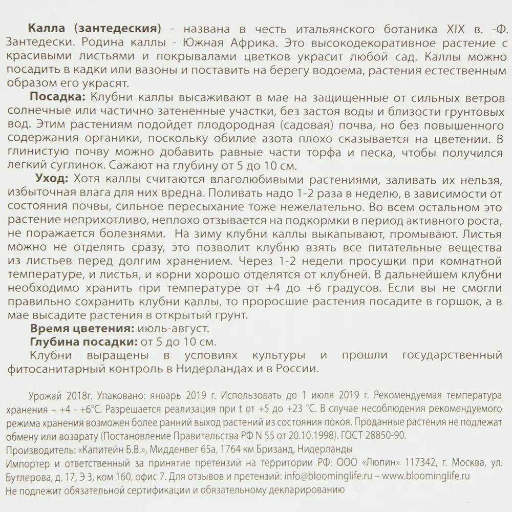 Калла Каптейн Лидо 14/16, 2 шт 82120096 STLM-2179062 BLOOMING LIFE  - Вид №1