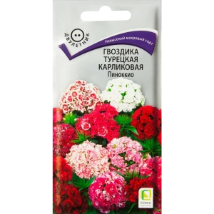 Гвоздика Турецкая карликов Пиноккио 0.3 г 83577564 STLM-2126353