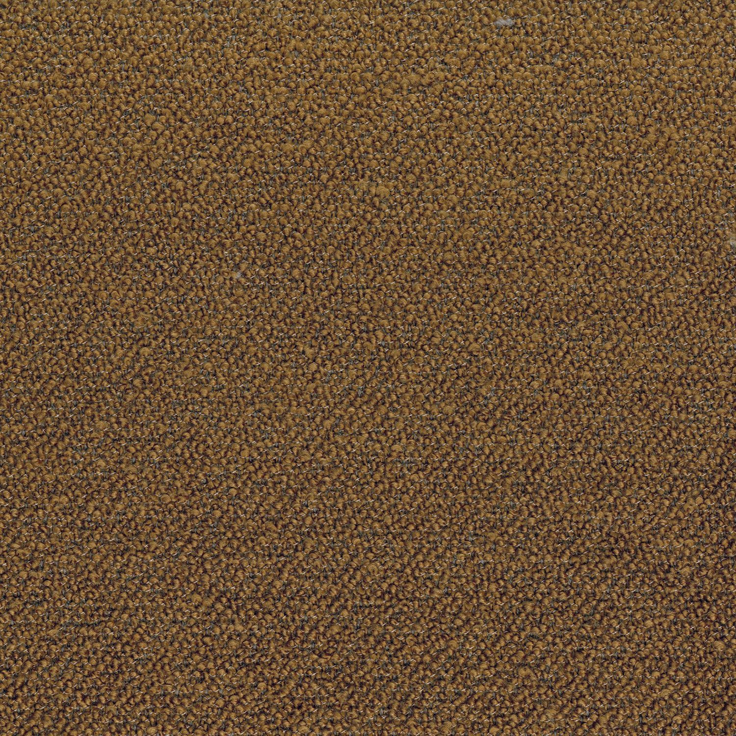 Однотонная ткань букле Casamance Abruzzes ARCH-00135568 - Вид №16