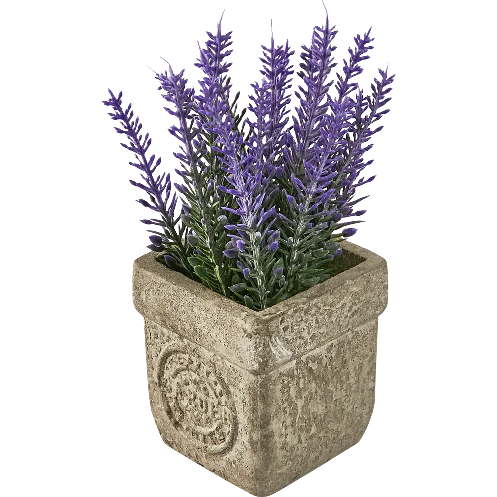 88999727 Искусственное растение Лаванда пластик 16 см STLM-0816836 Santreyd 