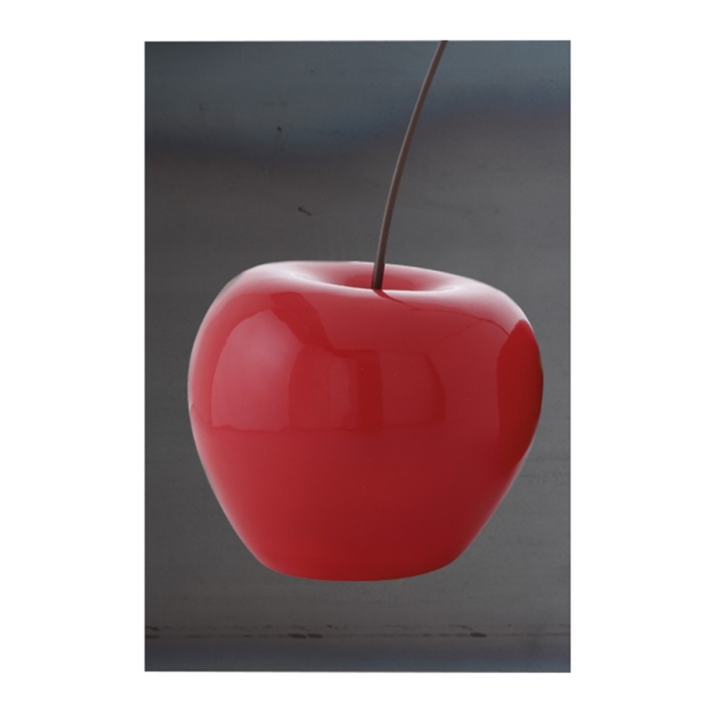 A55X50-A Книги Adriani e Rossi  - Вид №7