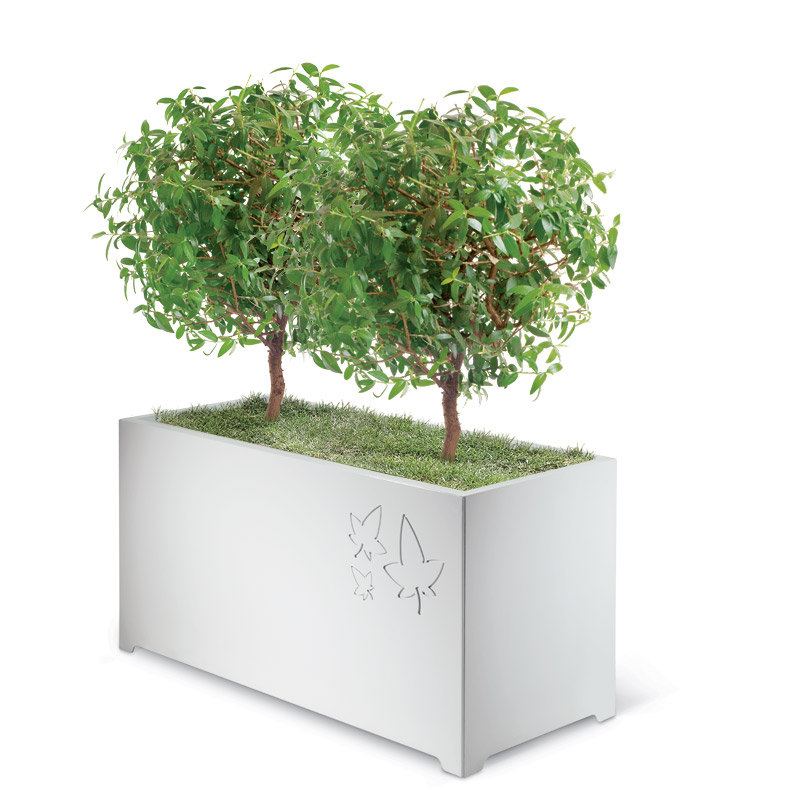 Leaves 2 Details Lab23 Плантаторы  - Вид №2