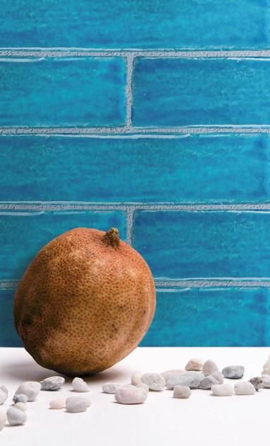 Danilo Ramazzotti Внутренняя облицовка майоликой Mare Ma4q - Вид №2