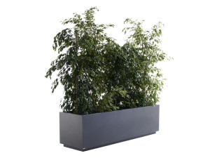 Окрашенный металлический прямоугольный плантатор