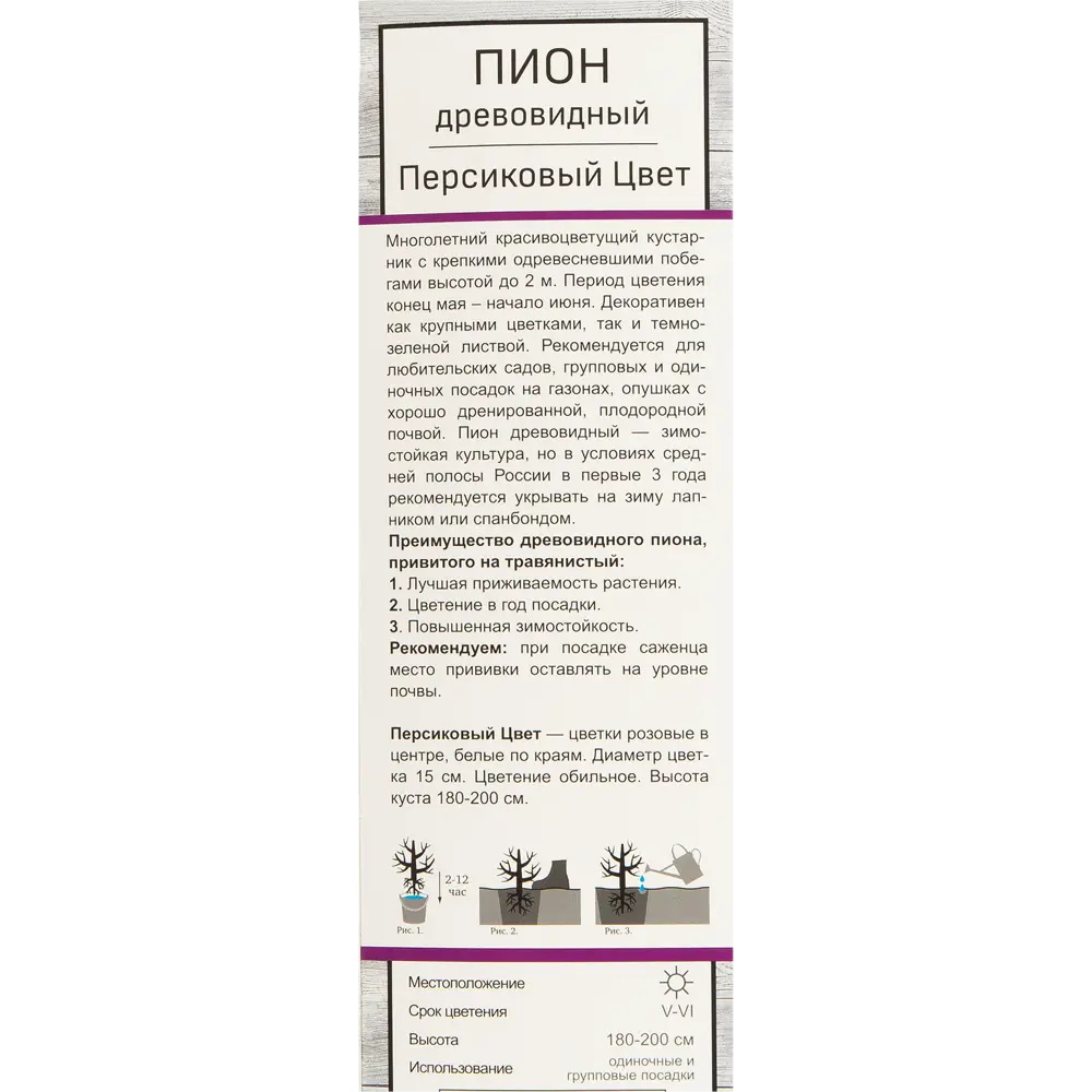 Пион древовидный Персиковый цвет 82527827 STLM-2184542 Santreyd  - Вид №1