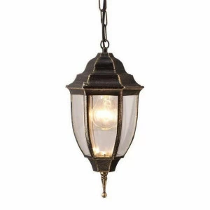 Уличный подвесной светильник Arte Lamp Pegasus A3151SO-1BN ARTE LAMP PEGASUS 273429 Коричневый