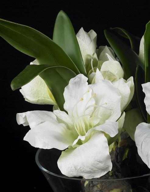 VGnewtrend Искусственное растение  1140955.95  - Вид №2