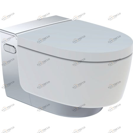 146.214.21.1 Подвесной унитаз настенный Белый Geberit  Германия 