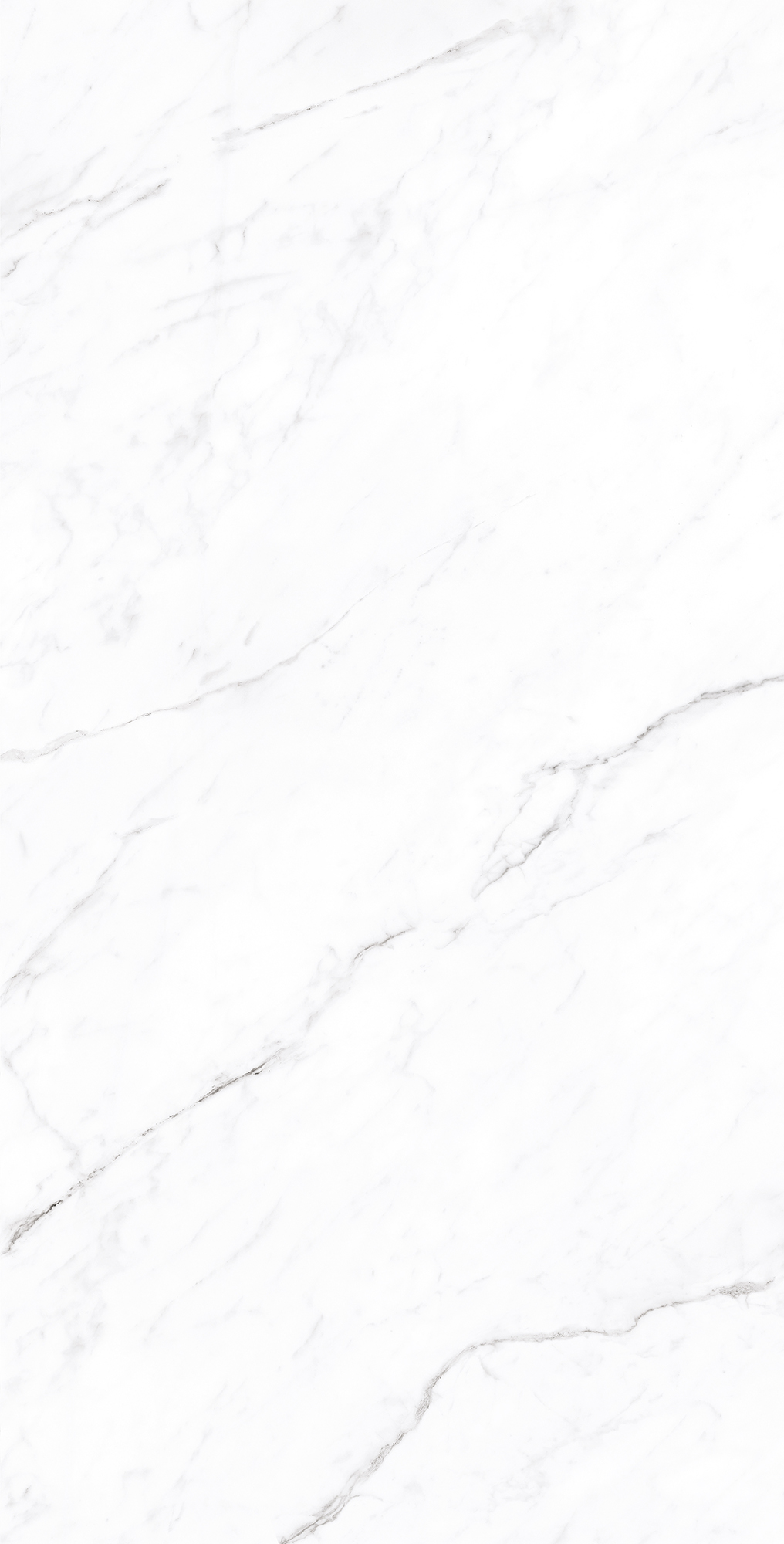 Керамогранит CORALINA WHITE 60х120 Creanza CP4003-A - Вид №4
