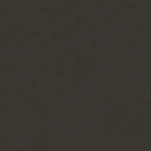 Камелия-Моноколор черный КГ 01 40х40