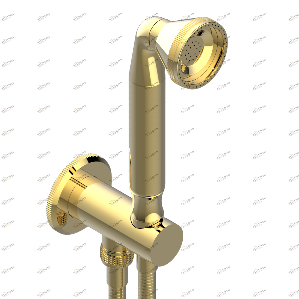 A55-54 Душ ручной стильный встраиваемый в стену, шланг и патрубок для душа с крючком Thg-paris Art Déco с рукоятками Покрытие PVD золотистый цвет A55 54 CAT.F