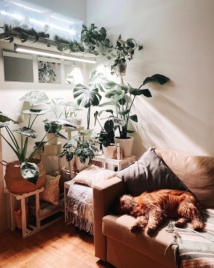 1122 Фитолампа для растений 30 Ватт. Длина 60 см. LAB.Space  - Вид №7