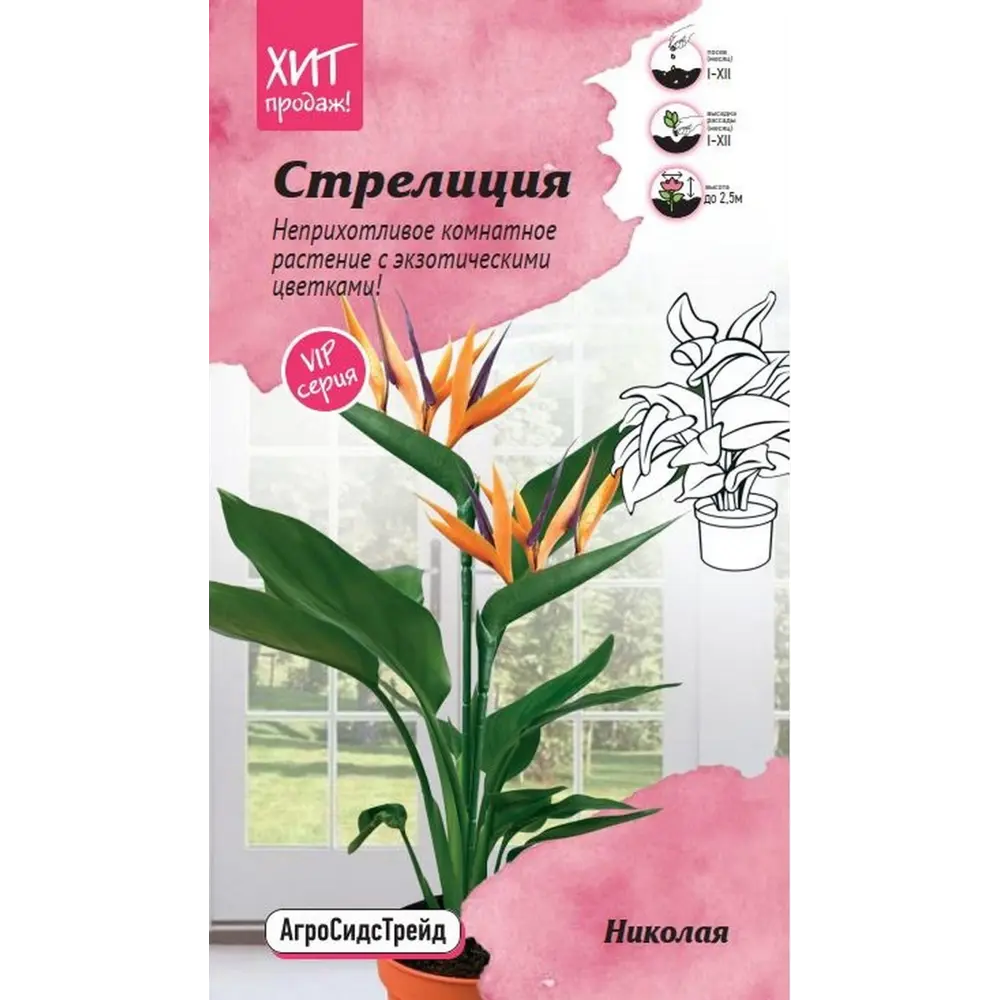 Семена цветов Агросидстрейд стрелиция Николая 3 шт STLM-2211427