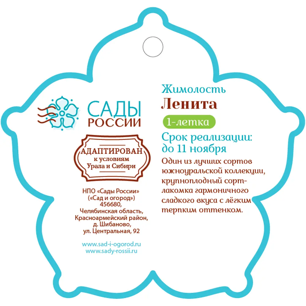 Жимолость «Ленита» 1 год 12.5x30-50 см 82610437 STLM-2134359 Santreyd  - Вид №1