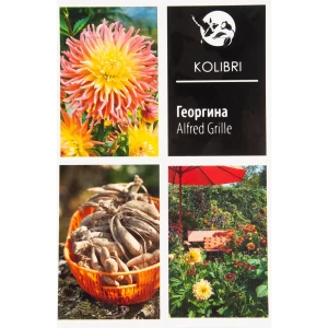 Георгина кактусовая «Альфред Гриль» 82539330 STLM-2051025
