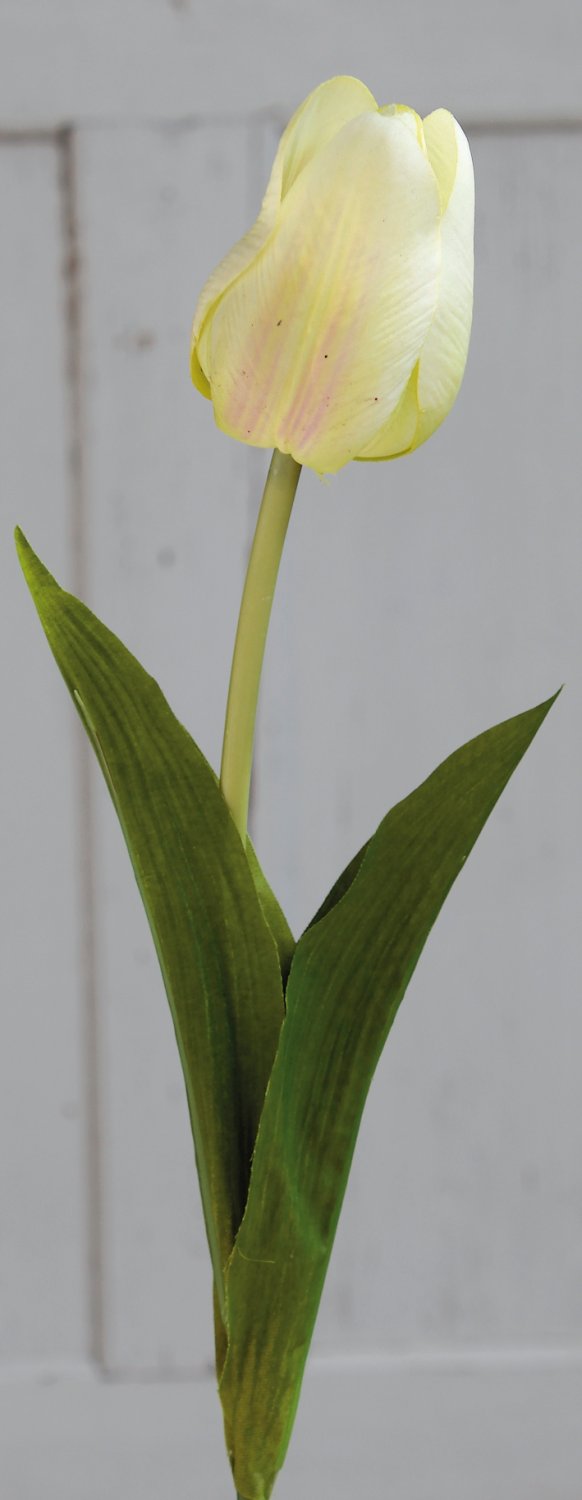 3115 788 a2 Искусственный тюльпан, 57 см, real touch, бежево-зеленый H-andreas  - Вид №7