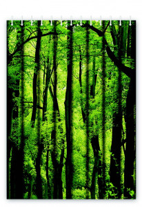 HB74060 Штора для ванной , 180*180 Haiba