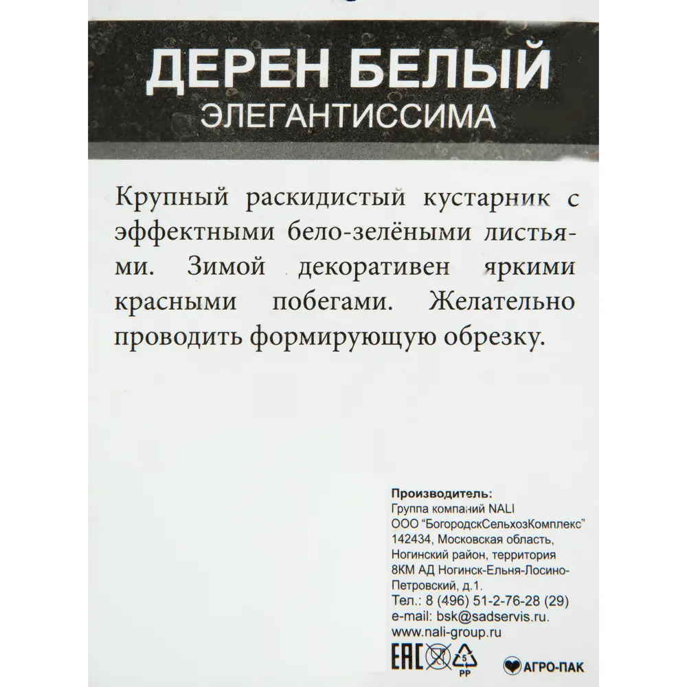 Дерен белый «Элегантиссима» 2 л h40 см 82207558 STLM-2161770 Santreyd  - Вид №1